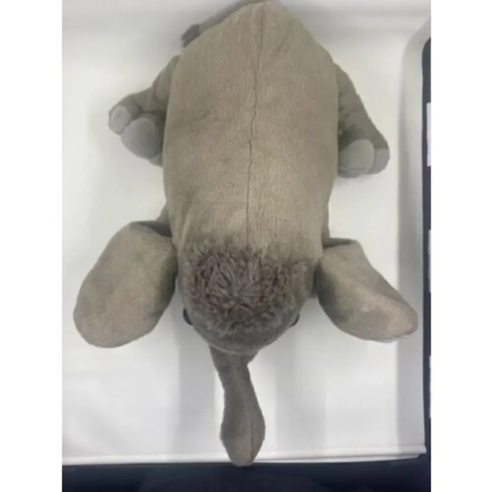 Baby Elephant 12